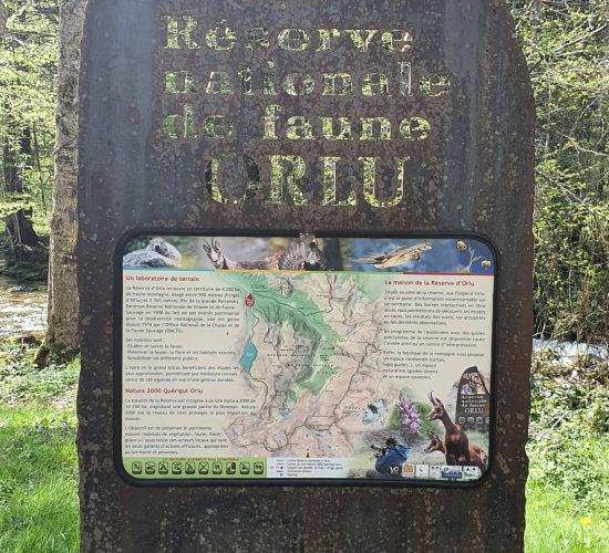 Location grand gite spacieux Ax Les Thermes - Orlu