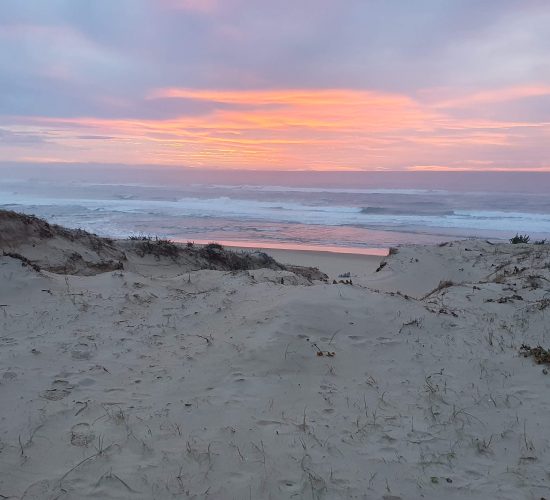 Gite Fleur des Sables -Maison 13 personnes à Vielle Saint Girons dans les Landes à proximité de l'océan