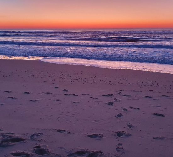 Gite Fleur des Sables -Maison 13 personnes à Vielle Saint Girons dans les Landes à proximité de l'océan