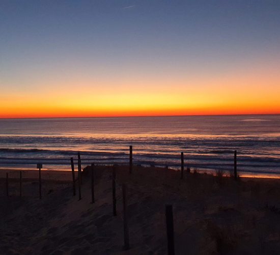 Gite Fleur des Sables -Maison 13 personnes à Vielle Saint Girons dans les Landes à proximité de l'océan