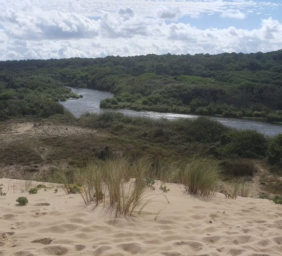 Gite Fleur des Sables -Maison 13 personnes à Vielle Saint Girons dans les Landes à proximité de l'océan