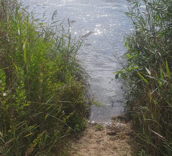 Gite Fleur des Sables -Maison 13 personnes à Vielle Saint Girons dans les Landes à proximité de l'océan