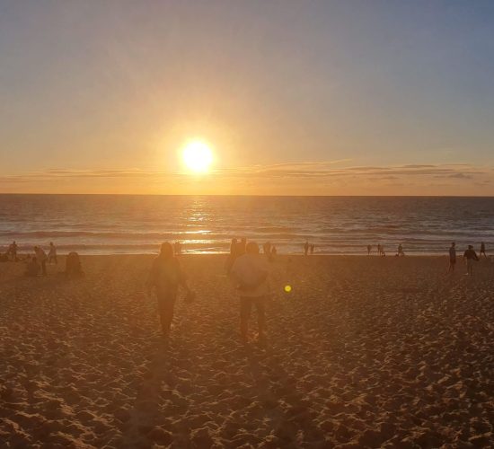 Gite Fleur des Sables -Maison 13 personnes à Vielle Saint Girons dans les Landes à proximité de l'océan