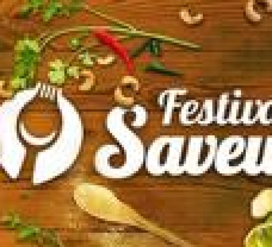 Location grand gite spacieux Ax-Les-Thermes - Festival