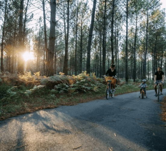 Gite Fleur des Sables -Maison 13 personnes à Vielle Saint Girons dans les Landes à proximité de l'océan